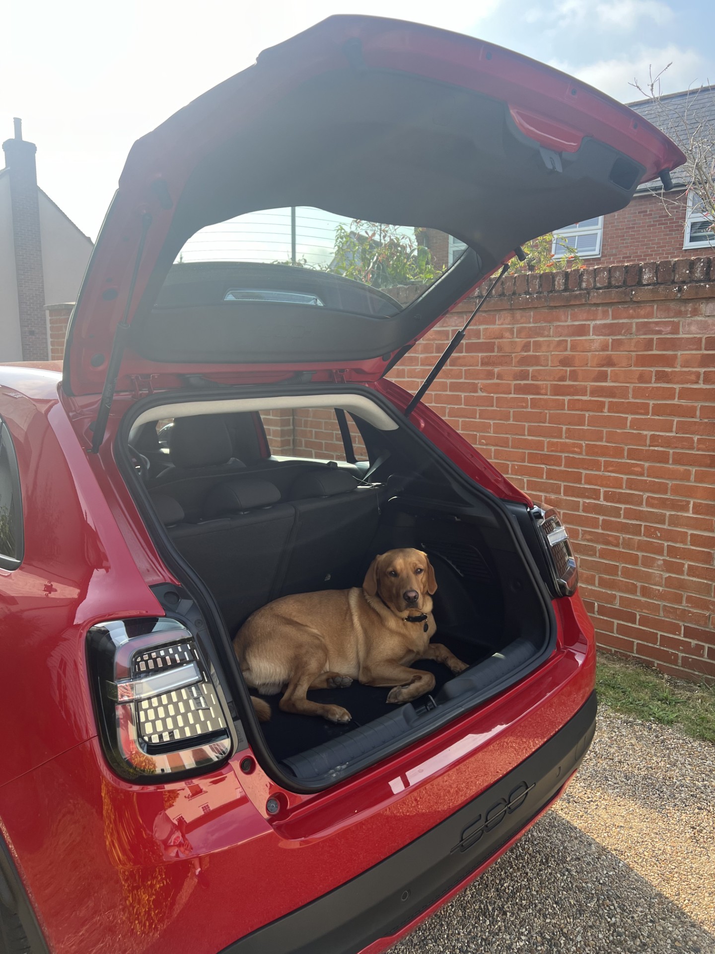 Fiat 600 from NEV Leasing 